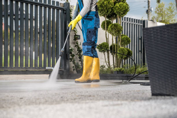 Best Roof Power Washing Services  in Taylor, TX