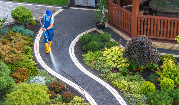 Best House Pressure Washing  in Taylor, TX
