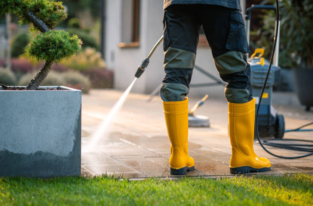 Best Pressure Washing Patio  in Taylor, TX